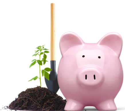 A pink piggy bank is holding a shovel and standing next to a mount of dirt with a sprout growing out of it.