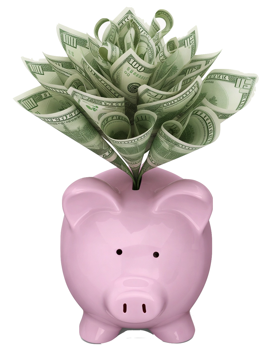 A pink piggy bank with a money flower sprouting from its coin slot.